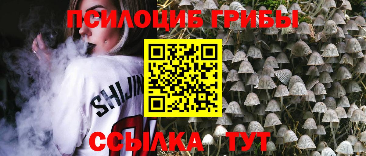Абакан  Галлюциногенные грибы MAGIC MUSHROOMS  Вход с VPN  Галлюциногенные грибы Magic Shrooms 
